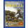 Harnmaster: Orbaal Kingdom Hardcover (EN)