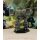 BattleTech: Inner Sphere Fire Lance Reprint (EN)