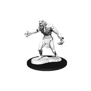 D&D Nolzurs Marvelous Miniatures: W12 Raging Troll