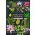 Herbalists: Notebook (EN)