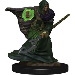 D&D Icons of the Realms: Premium Figures W5 Elf Druid Male (EN)