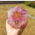 Captured Magic 100mm Chonk D20 Flower Storm