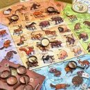 Zoology (EN)