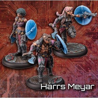 Ascending Fate: Unitbox Arvingar Harrs Meyar (DE/EN)