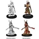 D&D Nolzur`s Marvelous Miniatures: Female Human Druid