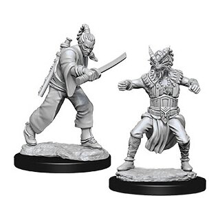 D&D Nolzur`s Marvelous Miniatures: Male Human Monk