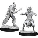 D&D Nolzur`s Marvelous Miniatures: Male Human Monk