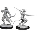 D&D Nolzur`s Marvelous Miniatures: Male Tabaxi Rogue