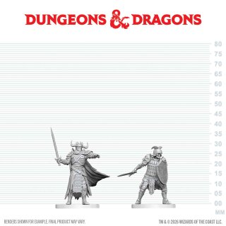 D&D Nolzur`s Marvelous Miniatures: Death Knight & Death Knight Aspirant